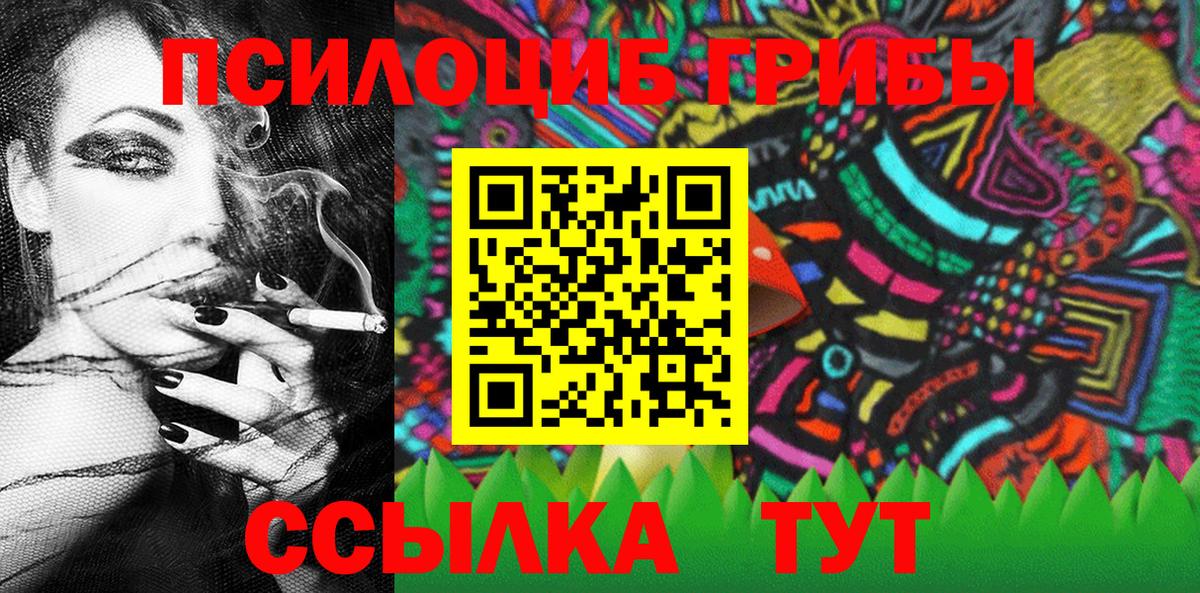 дарнет шоп  Вход с VPN  Галлюциногенные грибы мицелий  Железногорск  Псилоцибиновые грибы Psilocybe 